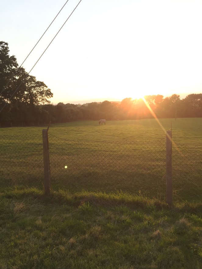 garden view cotswolds 