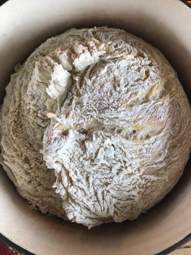 No knead bread