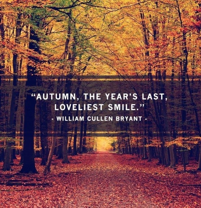 Autumn, the year's last, loveliest smile