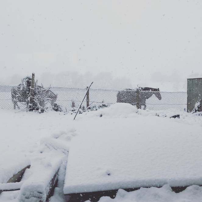 Snow in the Cotswolds 