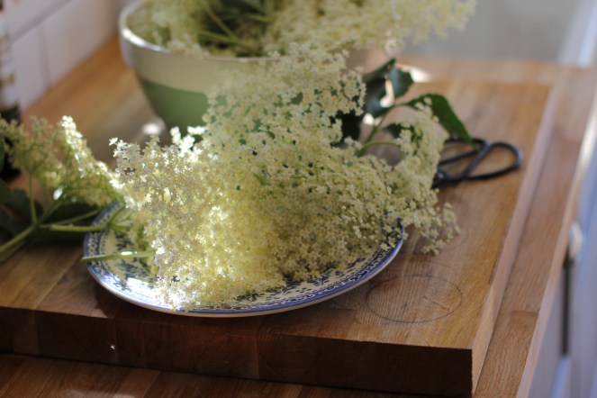 elderflower cordial recipe